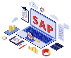 sap sap consulting